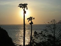 ásanas ao pôr-do-sol na praia da Azeda/Búzios – Foto de Yoga Ways  Institute, Armação dos Búzios - Tripadvisor