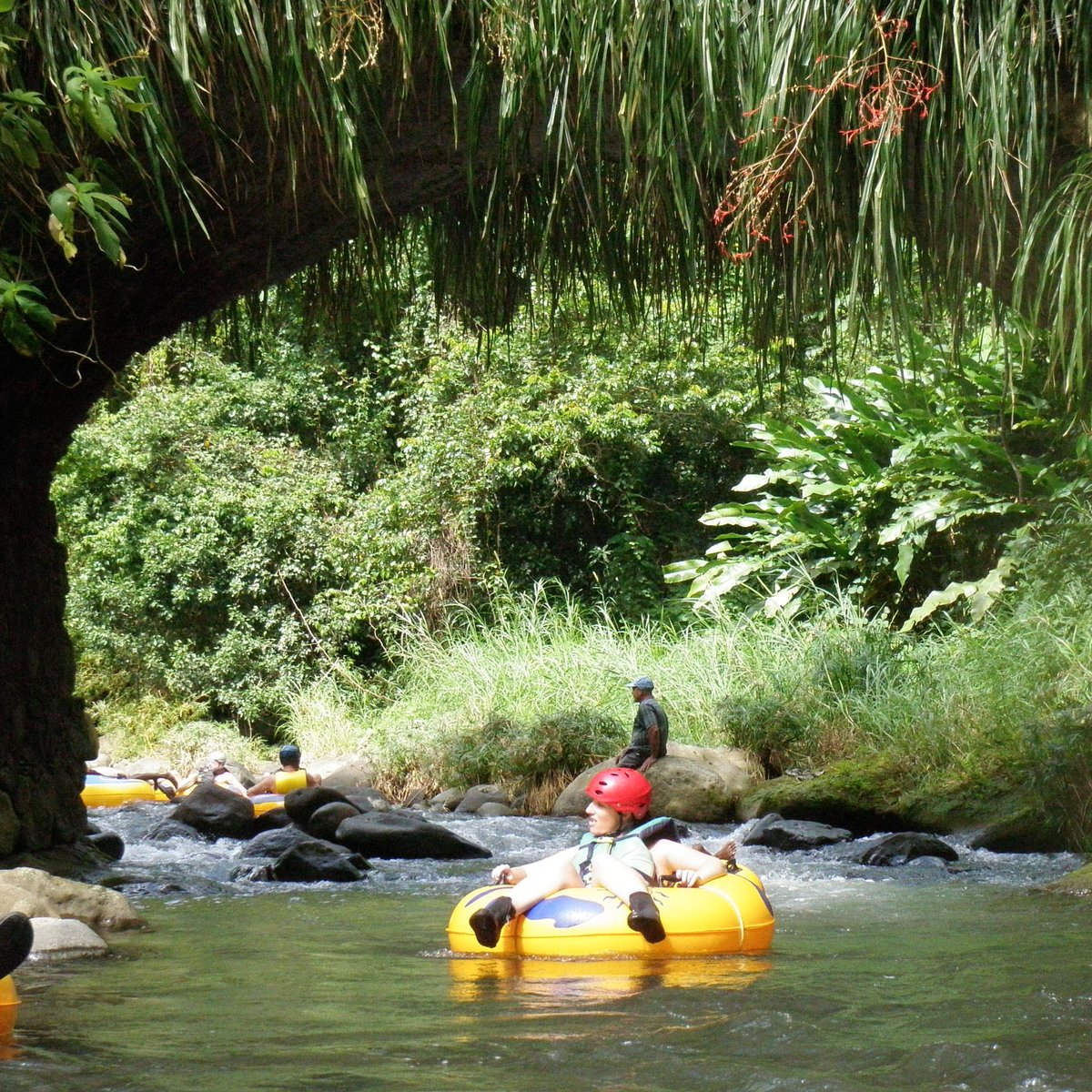 Adventure Tours Grenada - Caribbean (St. George's) - All You Need to ...