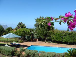 Pool & Beach