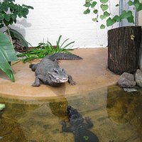 Das Reptilienhaus
