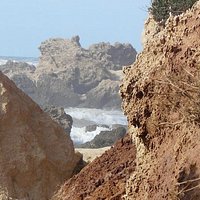 the Nature Reserve between Mikhmoret and Hadera