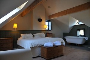 Habitación y suite