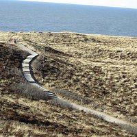 Blick in die Dünenlandschaft + Meer