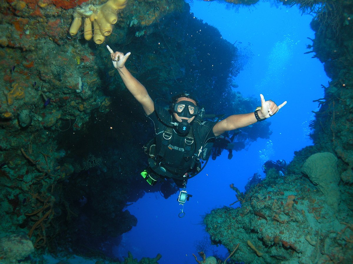 Alex Scuba (Cozumel) - All You Need to Know BEFORE You Go