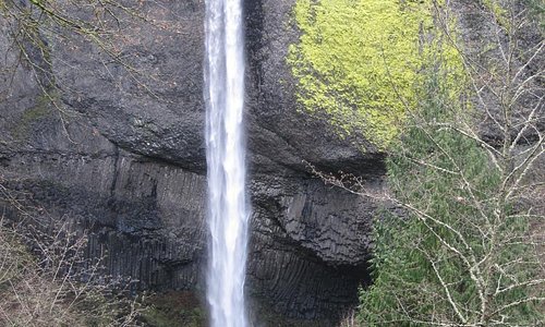 Latourell Falls, Columbia River Hwy - water drops straight down