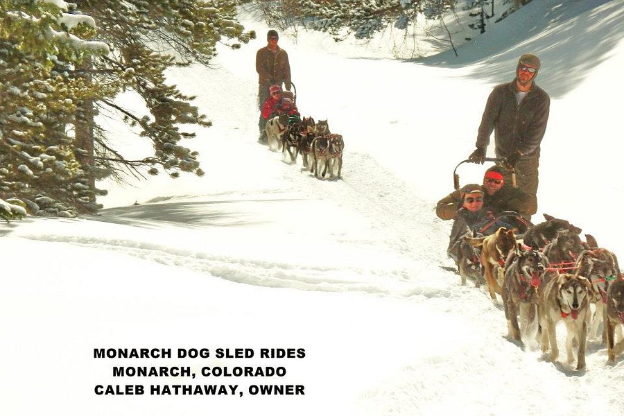 Monarch Dog Sled Rides image