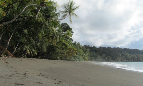 Drake Bay, Costa Rica 2023: Best Places To Visit - Tripadvisor