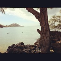 View of snorkeler's enjoying Makena Landing