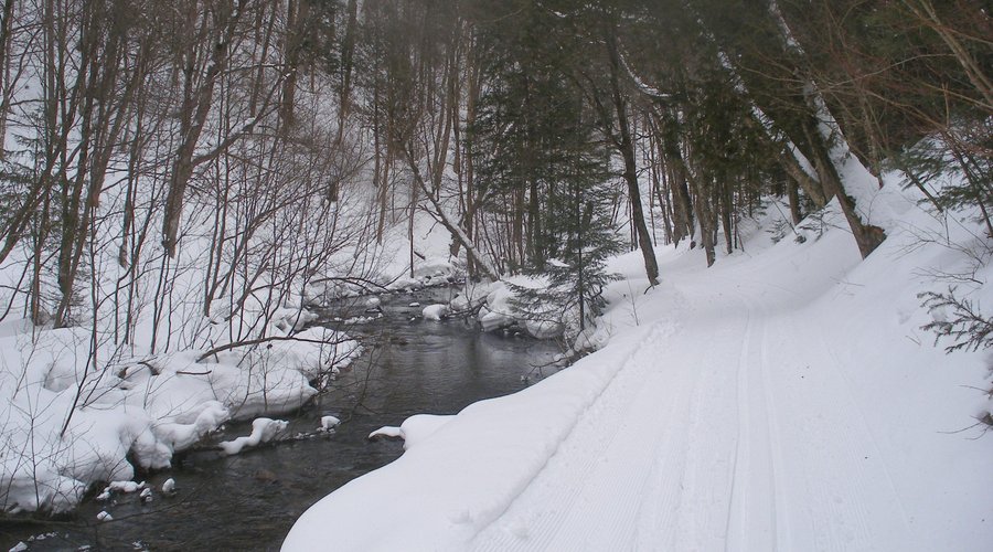 Eva's Way ... classic only trail