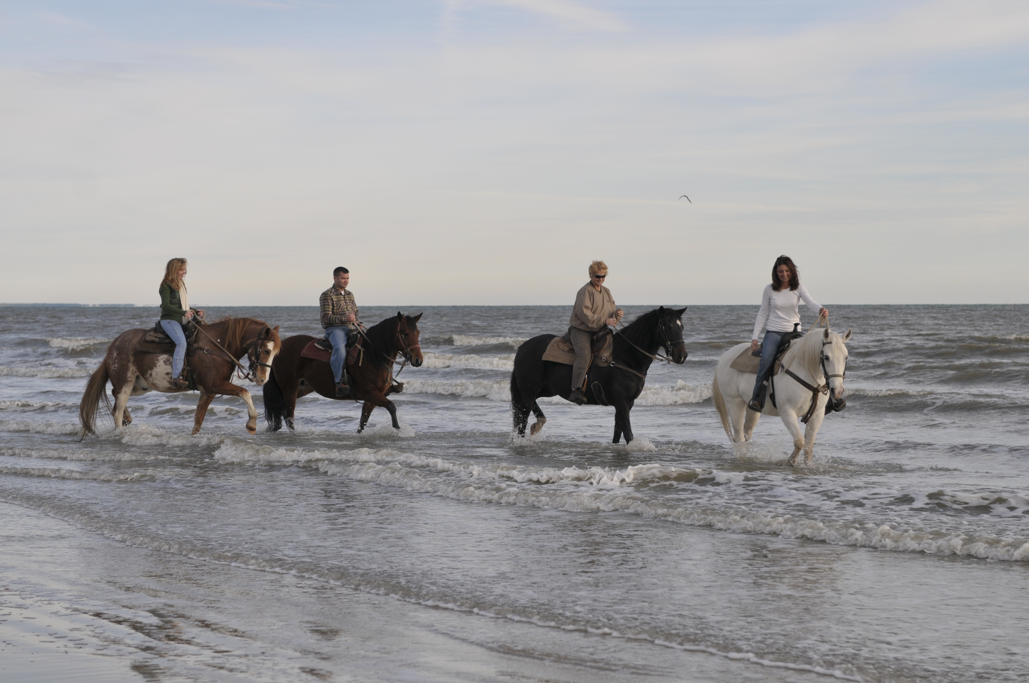 Exploring Destin Horseback Riding on the Beach: An Unforgettable Experience