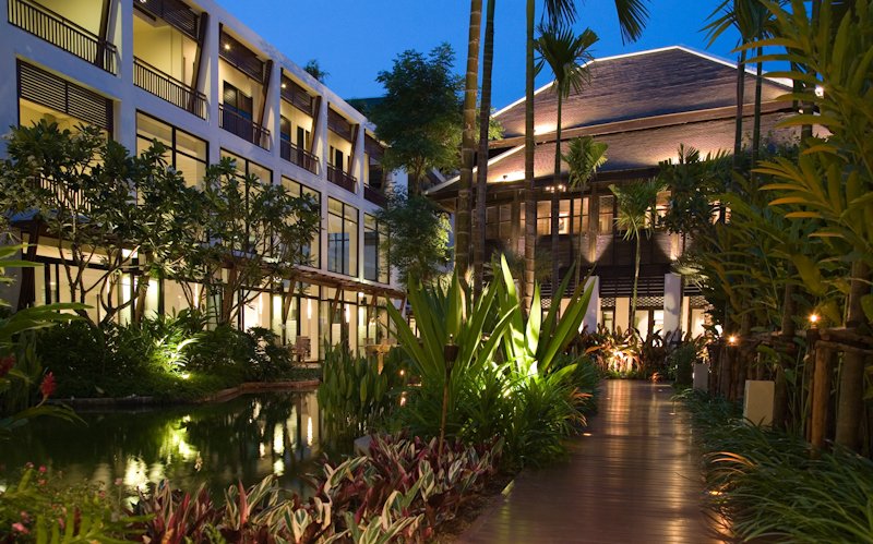 Beyond Wellness, Truly Paradise