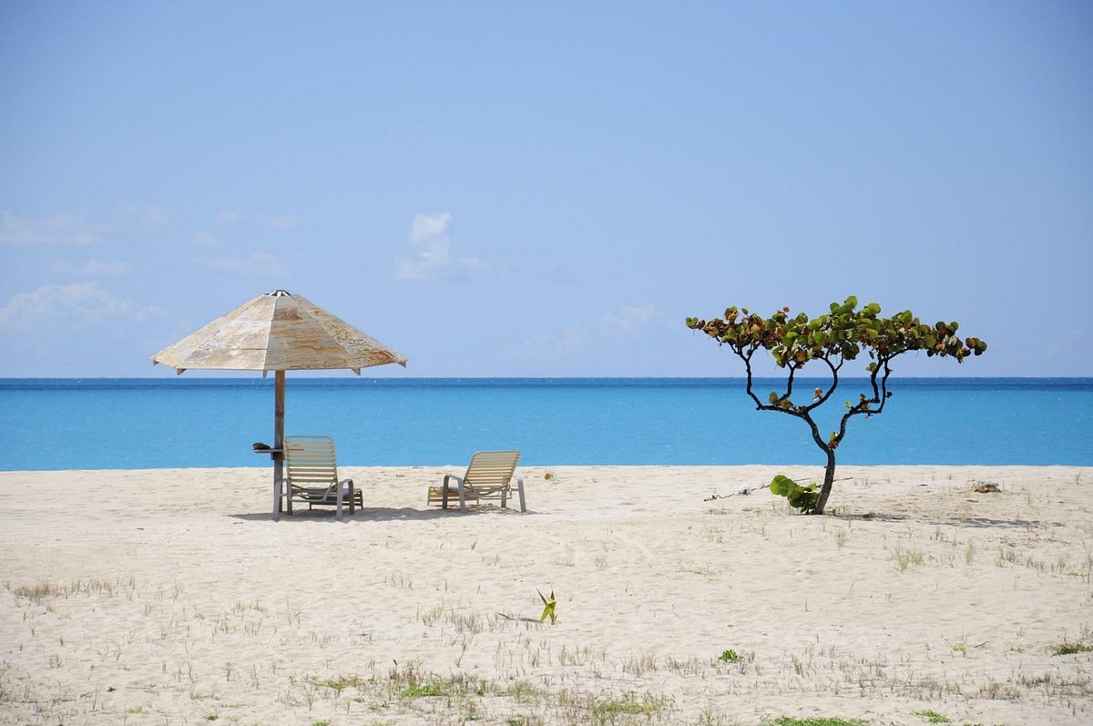 Barbuda la spiaggia +39 dalle conchiglie giganti. - Picture of Antigua + 39  Tour - Day Tours - Tripadvisor