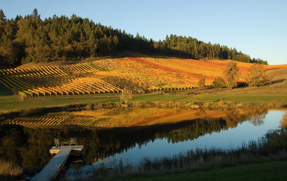 THE 15 BEST Things to Do in Roseburg 2024 (with Photos) Tripadvisor