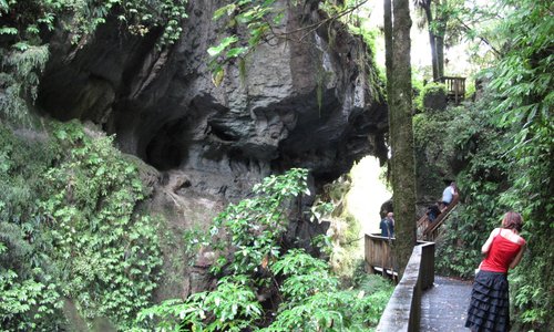 Mangapohue Natural Bridge