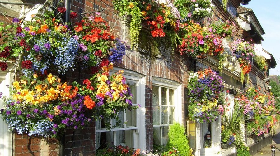 Full summer glory