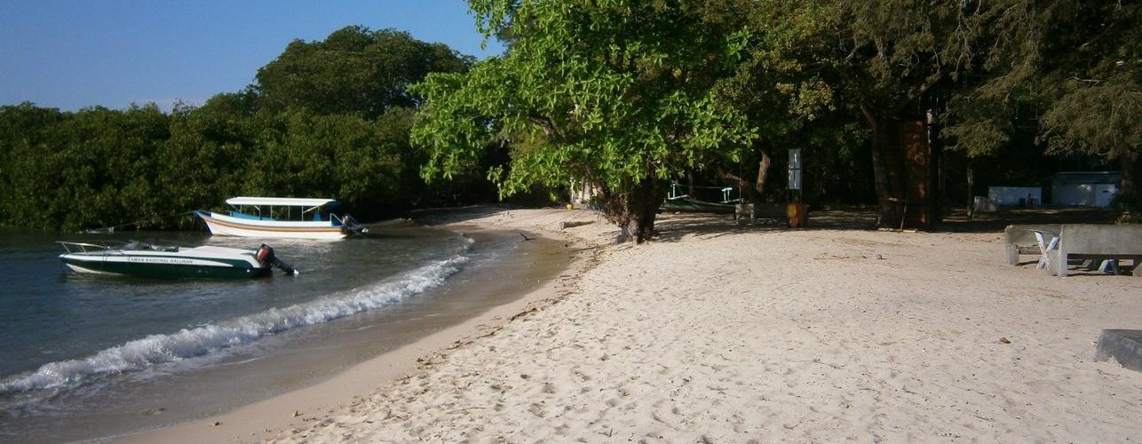 Bama Beach