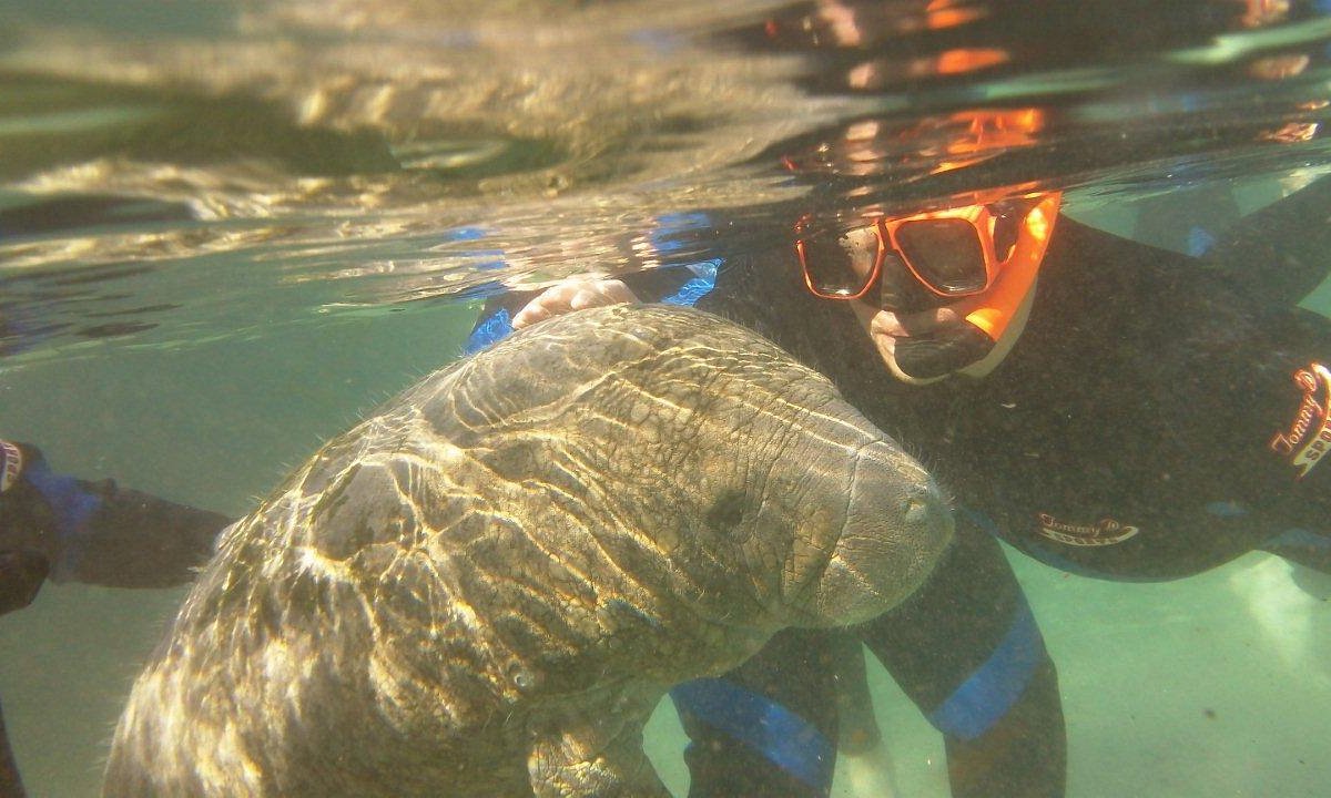 How to Rent Pontoon Boats? • Captain Mikes Swimming with the Manatees