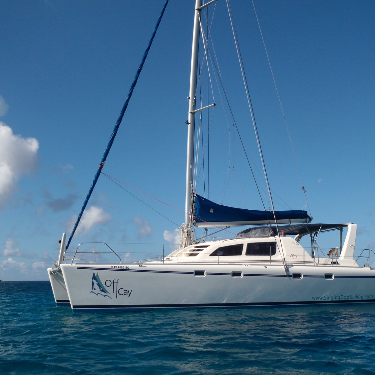 Singing Dog Sailing (Cruz Bay) - All You Need to Know BEFORE You Go