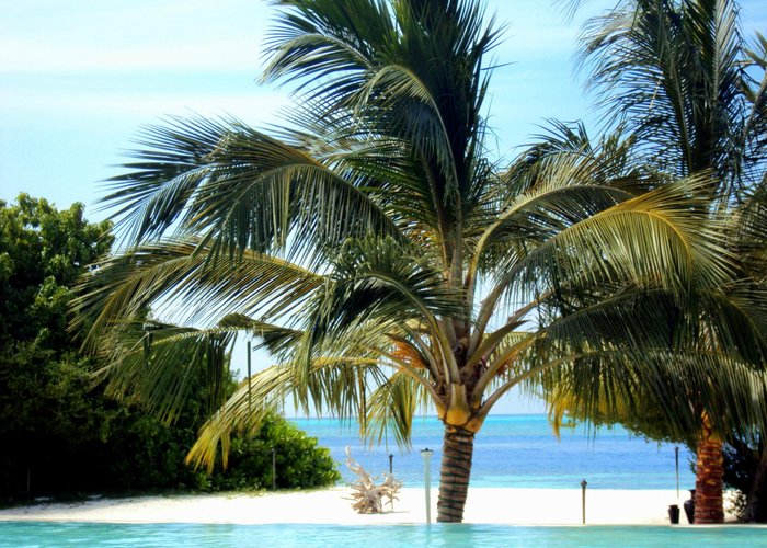 Pool side-Island Hideaway