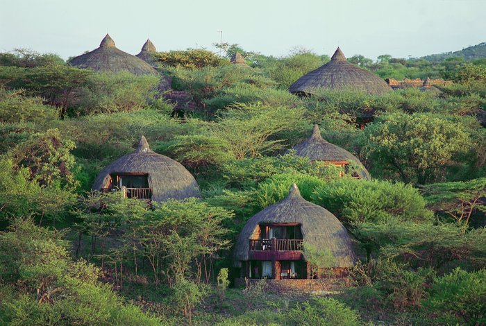 SERENGETI SERENA SAFARI LODGE - Updated 2023 Prices & Reviews (Serengeti  National Park, Tanzania)