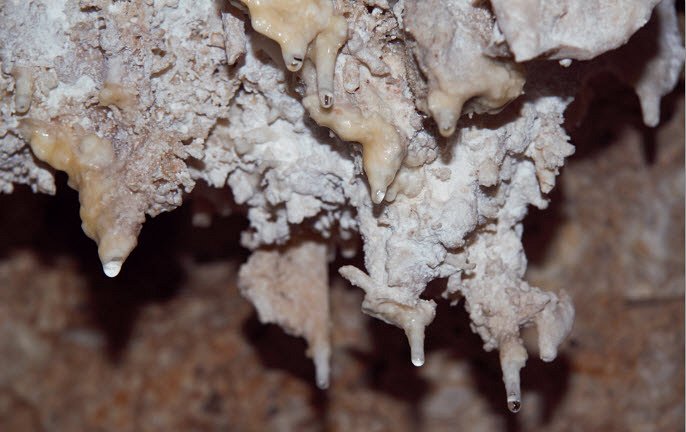 Cayman Brac Caves image