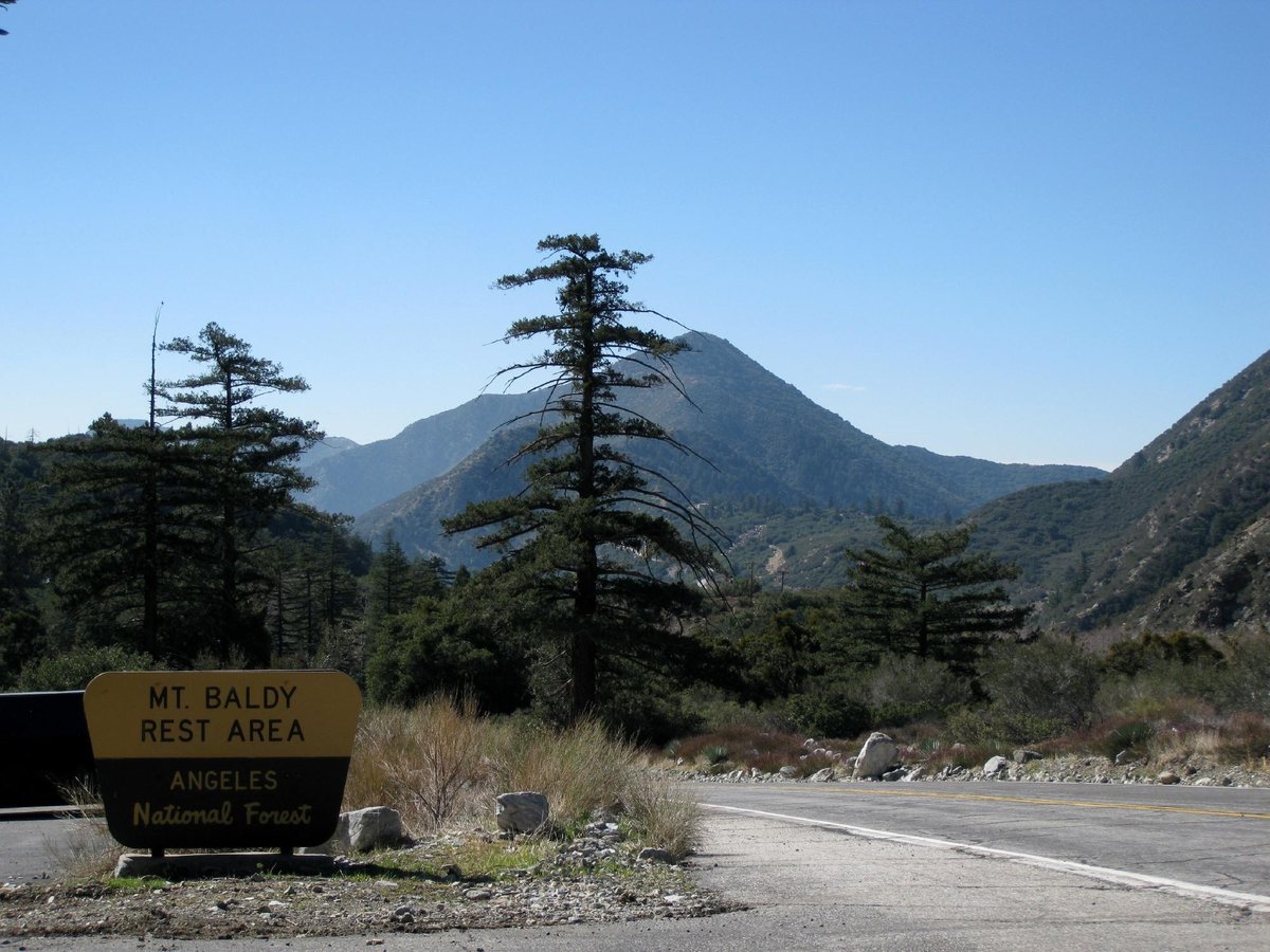 are dogs allowed at mount baldy