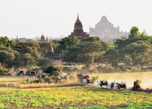 bullock-carts-and-pagodas.jpg?w=500&h=-1&s=1