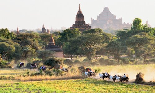 bullock carts and pagodas
