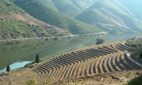 Douro, Wine Region