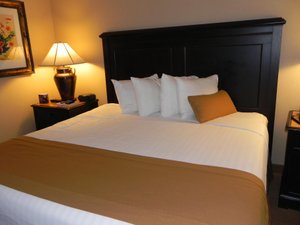 Room & Suite