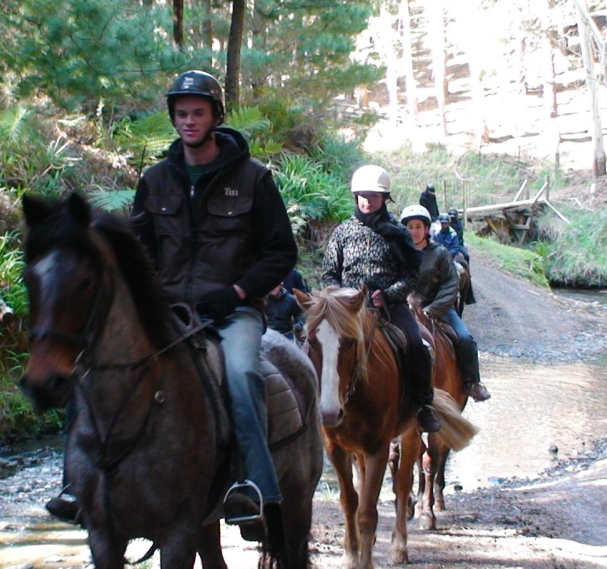 Ohariu Valley Equestrian Centre - 웰링턴 - Ohariu Valley Equestrian Centre의 리뷰 - 트립어드바이저