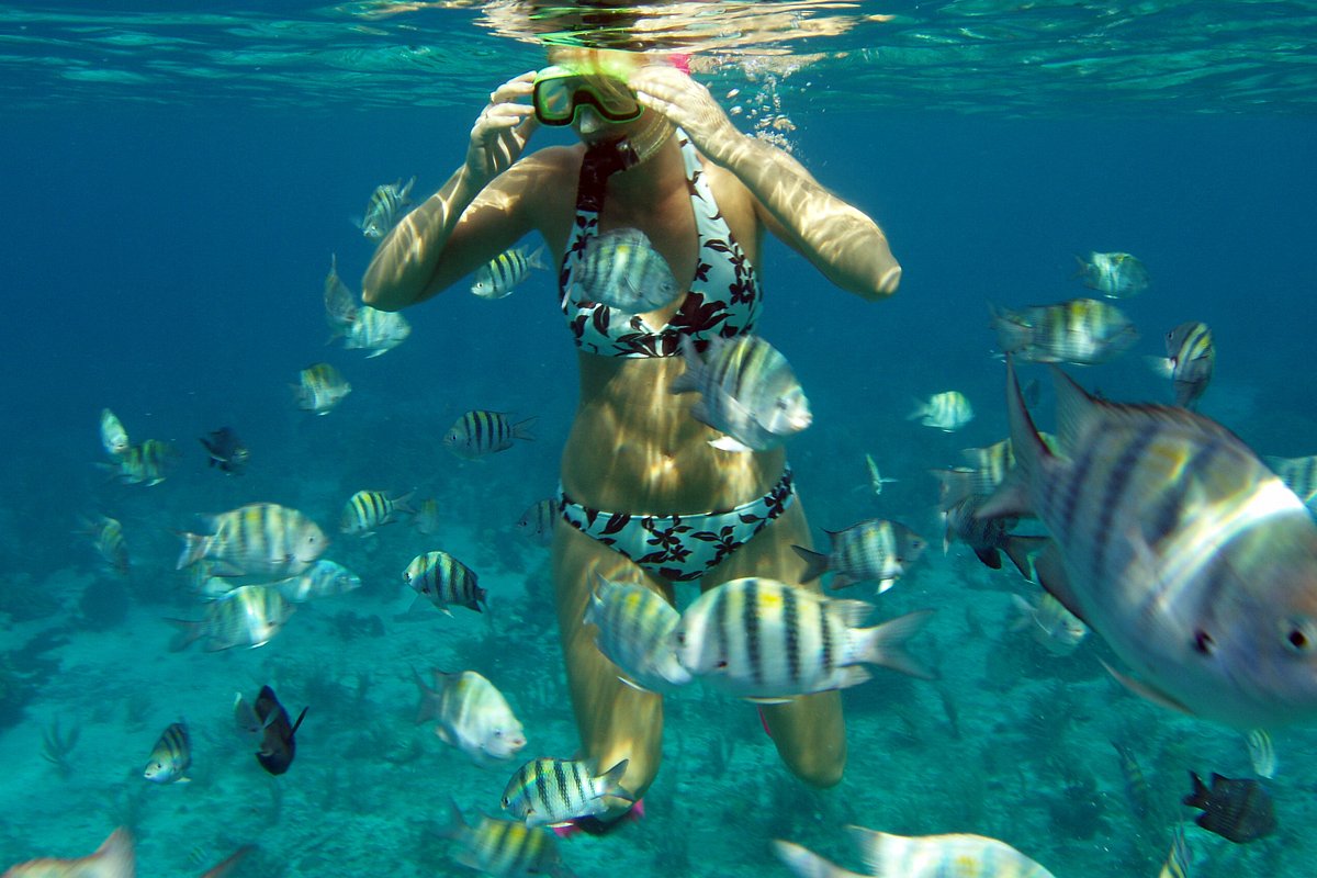 THIS IS COZUMEL - All You Need to Know BEFORE You Go