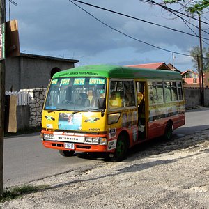one love bus tour jamaica