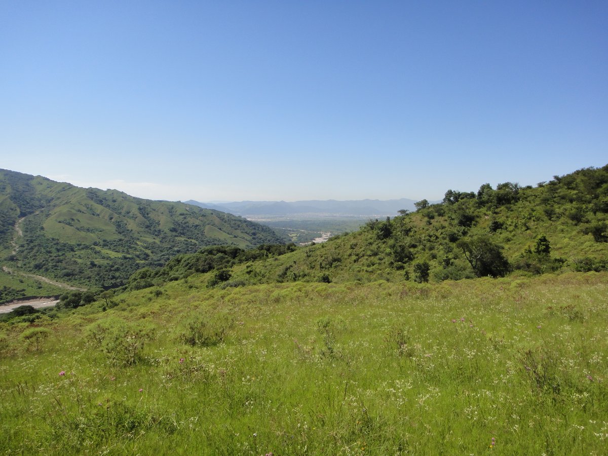 Finca Lesser (San Lorenzo) - 2022 Qué saber antes de ir - Lo más comentado  por la gente - Tripadvisor