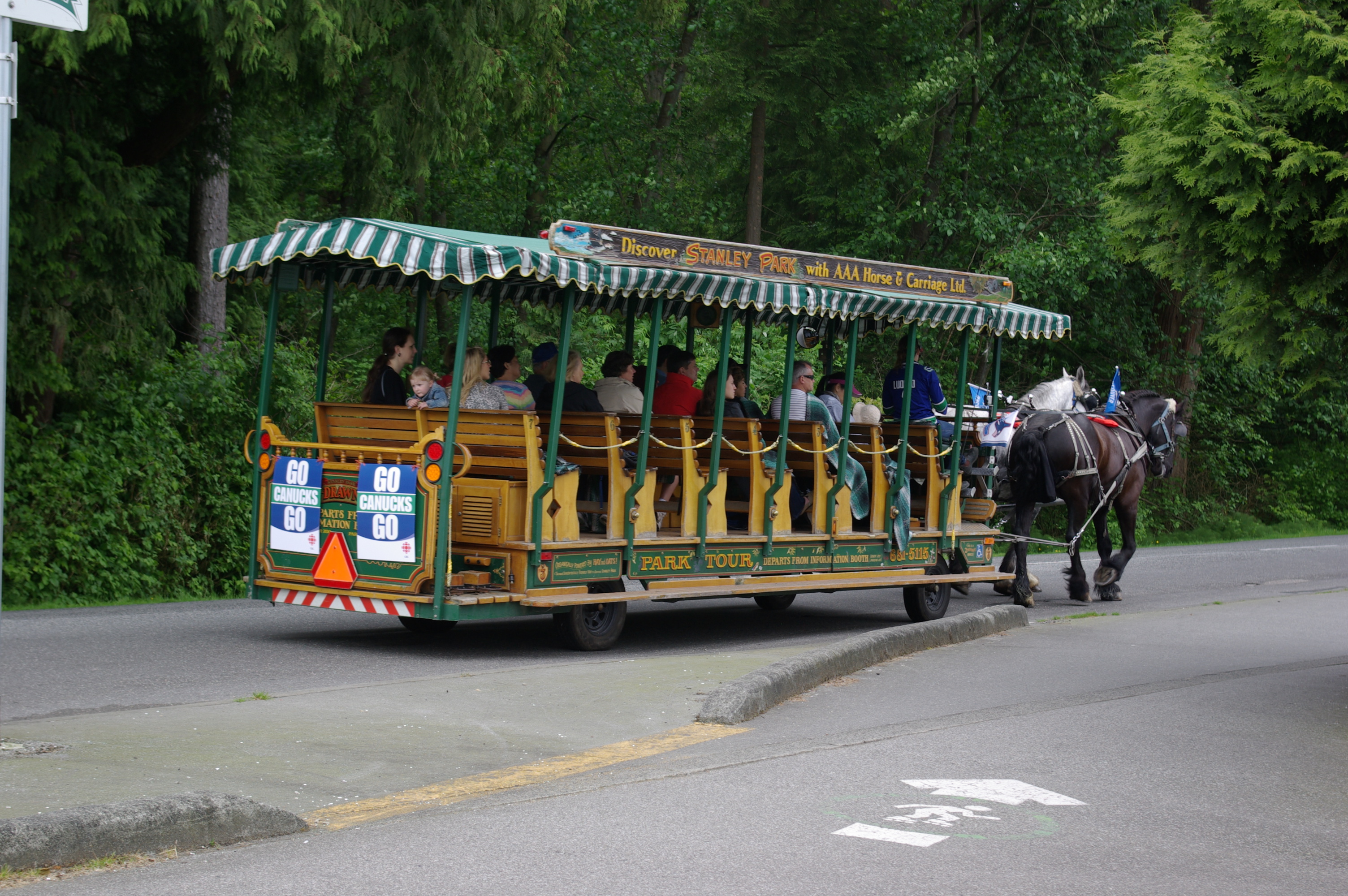 Stanley park sales horse drawn