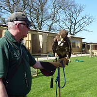 introduction to the Hawks