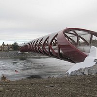 Peace Bridge Calgary