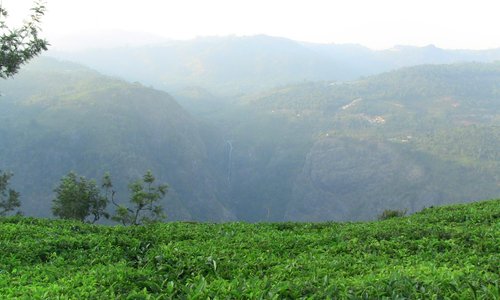 Catherine falls view from Dolphin's nose