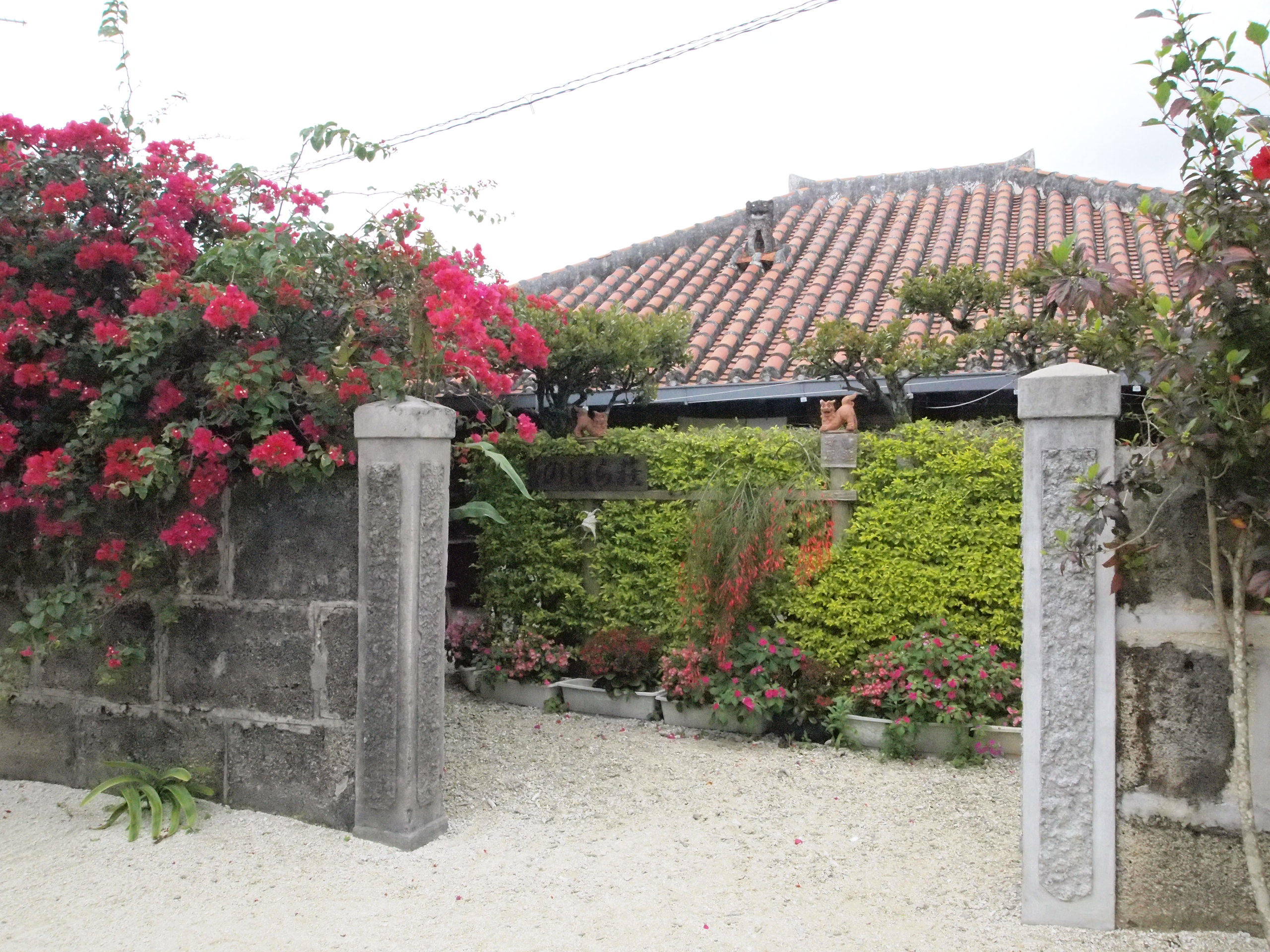 のはら荘 コレクション 竹富島 タオル