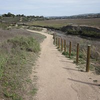 On the trail.