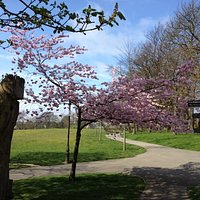 Springtime