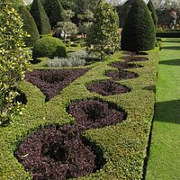 Hedges