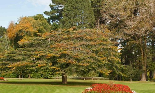 So colourful in Queens Park