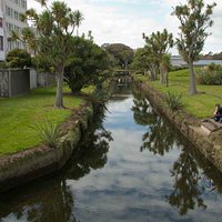 The still water of Otepuni