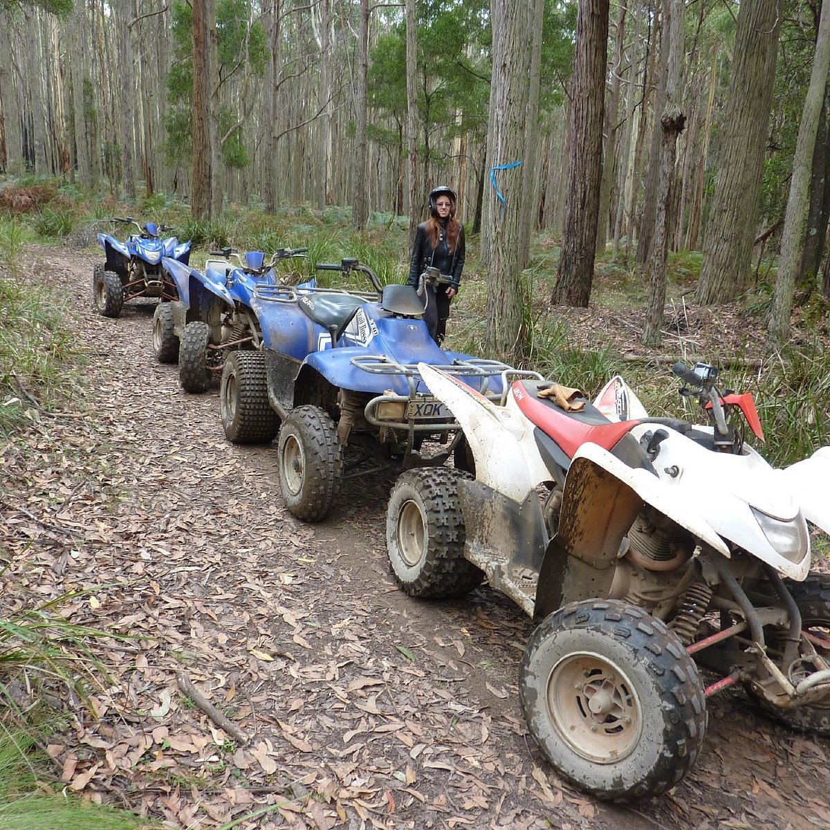 victorian quad bike tours photos