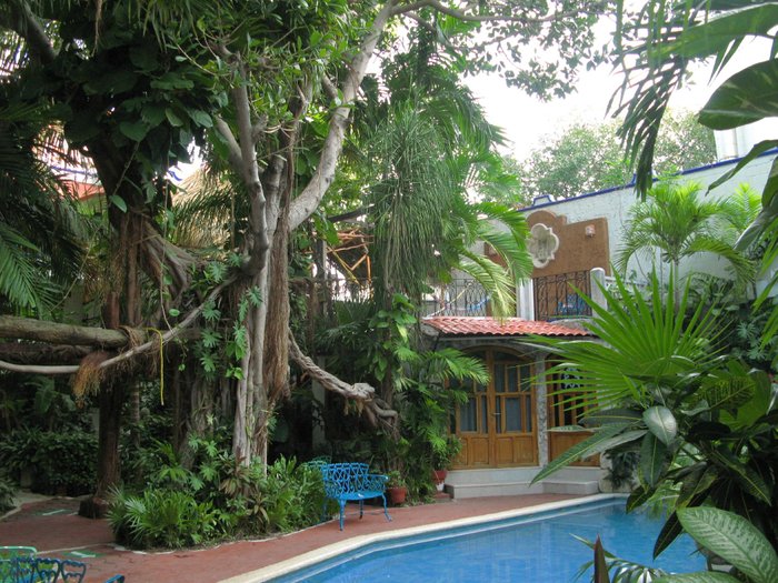 Imagen 8 de Eco-Hotel El Rey Del Caribe
