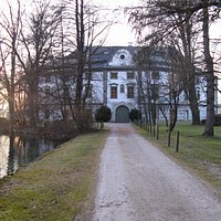 Allee zum Schloss Kammer im Winter