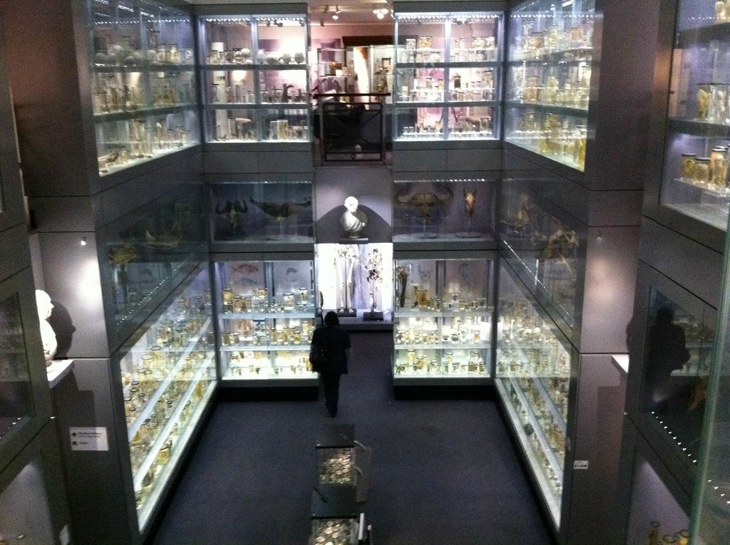 HUNTERIAN MUSEUM All You Need to Know BEFORE You Go with Photos