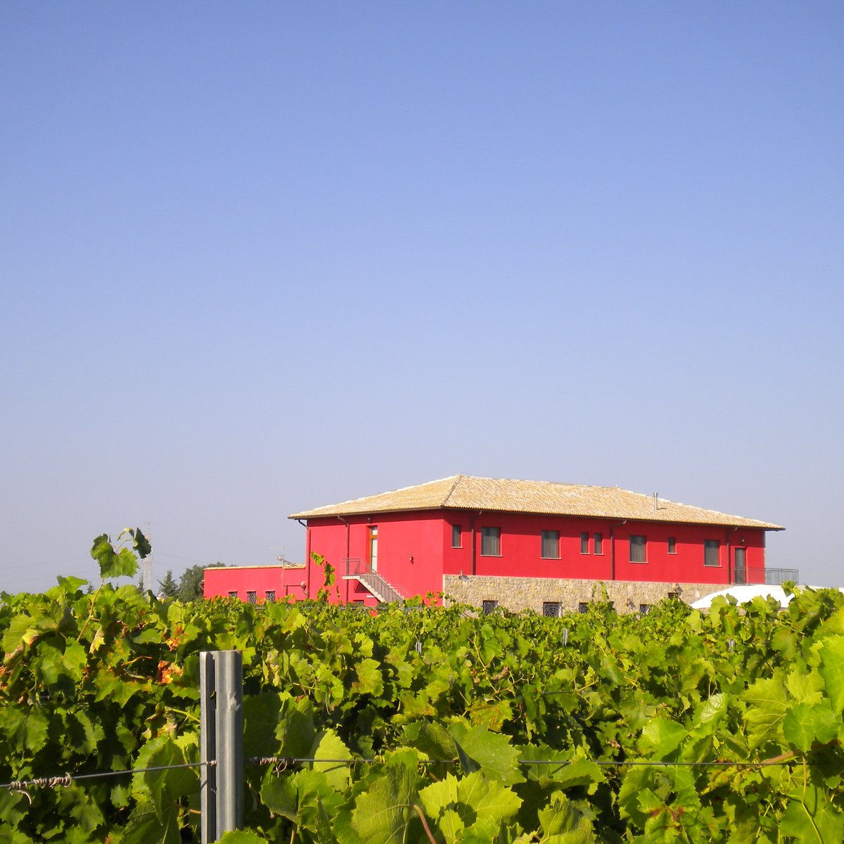 Tenuta dei Mille - 멘피 - Tenuta dei Mille의 리뷰 - 트립어드바이저