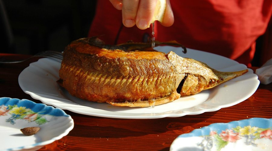 NIKULDEN, Silistra - Restaurant Reviews, Photos & Phone Number - Tripadvisor